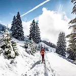 In Petit Near Cable Car * Châtel
